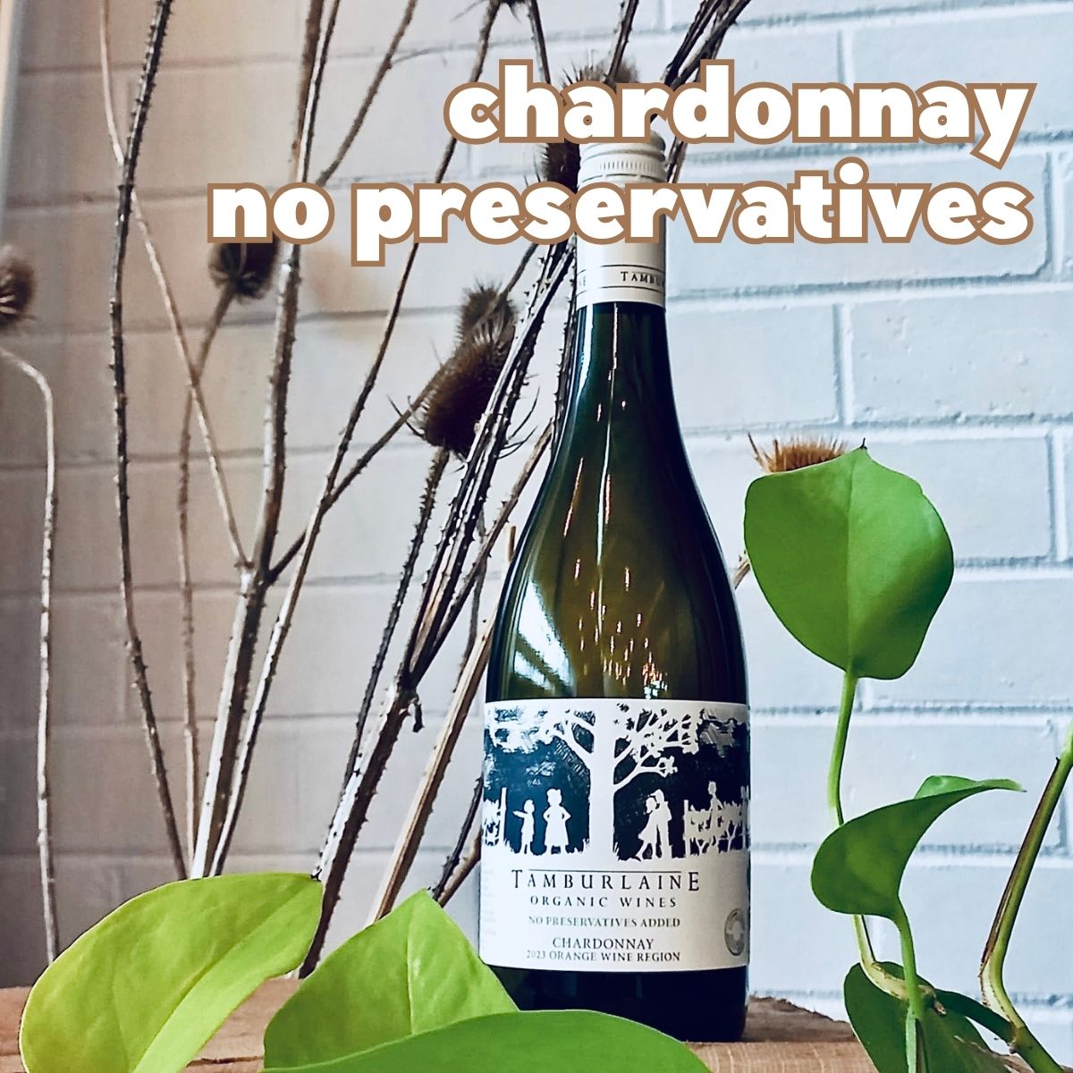 Tamburlaine Preservative Free Chardonnay