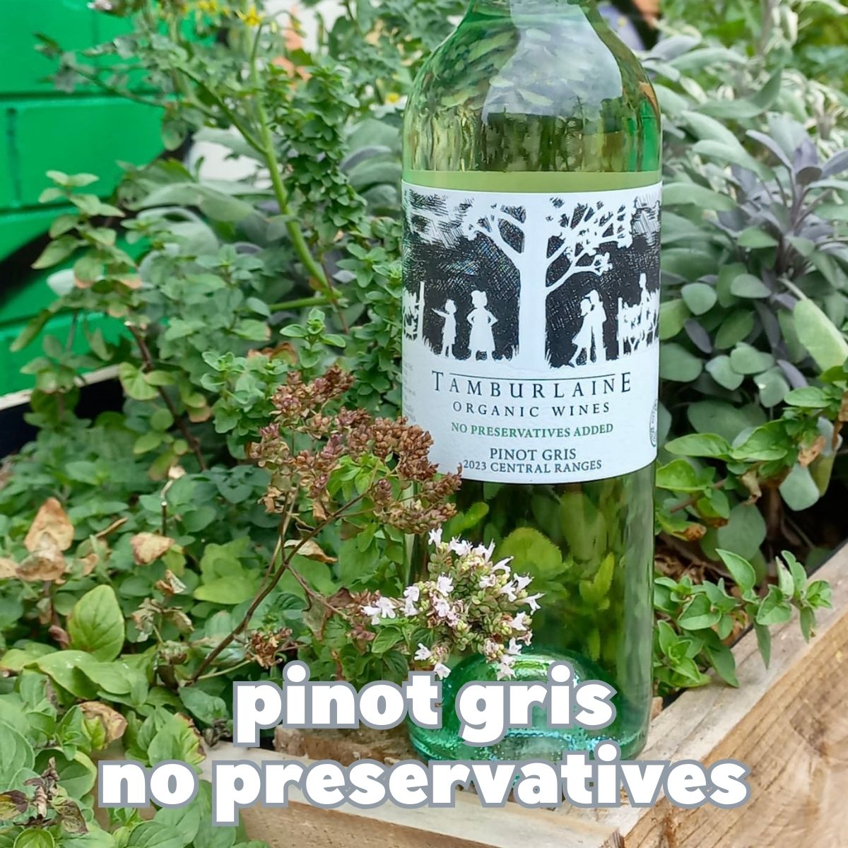 Tamburlaine Preservative Free Pinot Gris