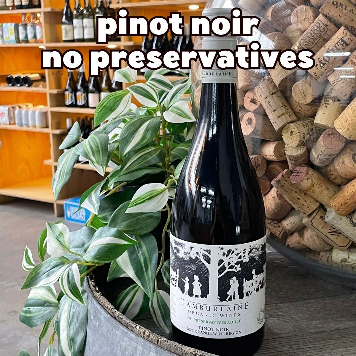 Tamburlaine No Added Preservative Pinot Noir