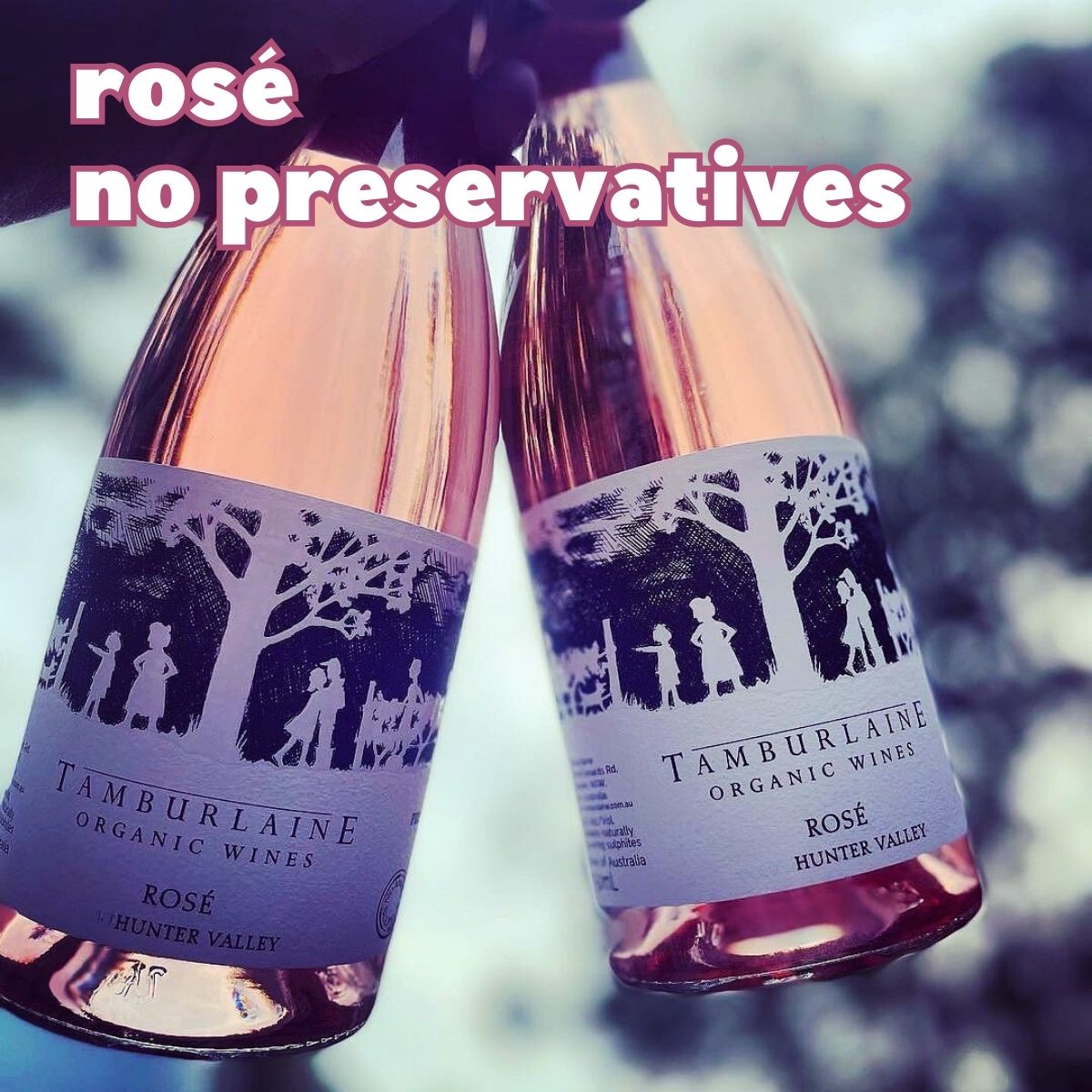 Tamburlaine Preservative Free Rose