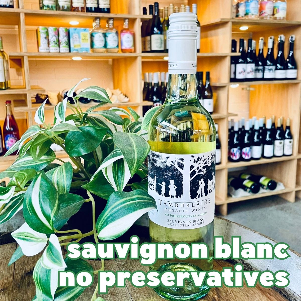 Tamburlaine Preservative Free Sauvignon Blanc