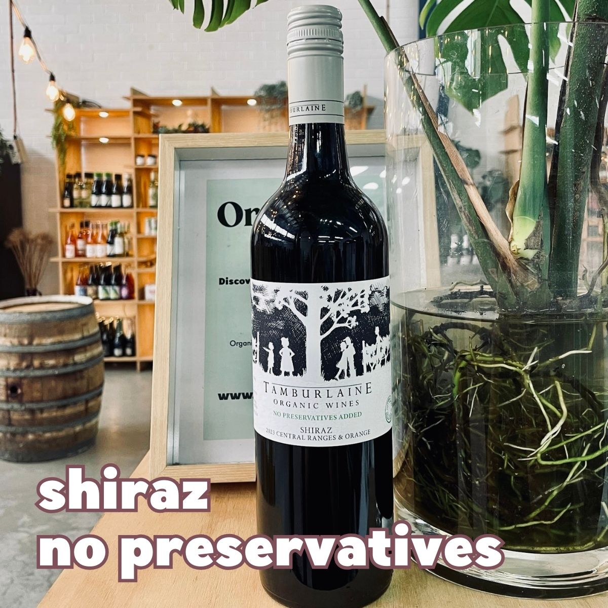 Tamburlaine No Preservatives Shiraz