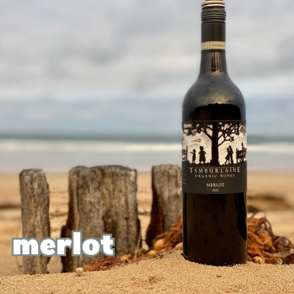 Tamburlaine Organic Merlot