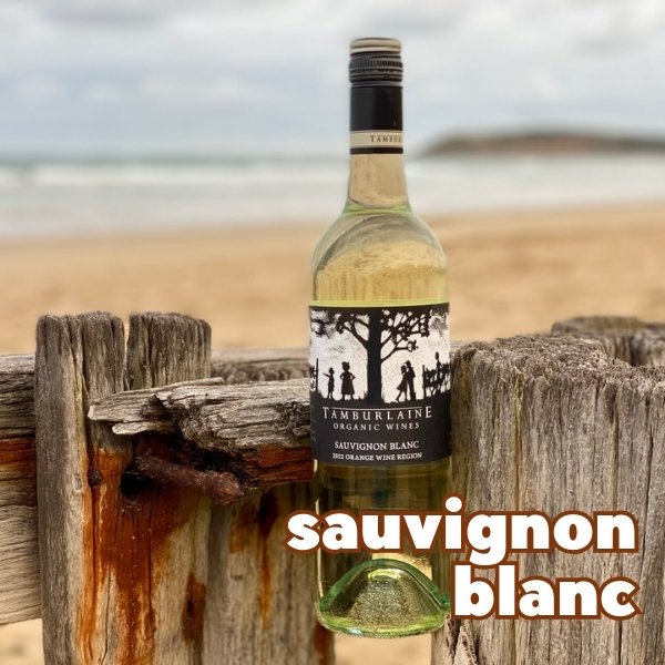 Tamburlaine Organic Grapevine Sauvignon Blanc